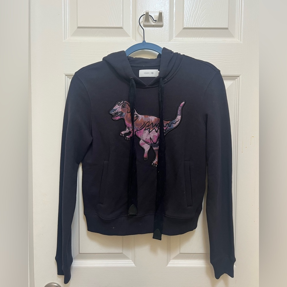 Coach dinasour sweater